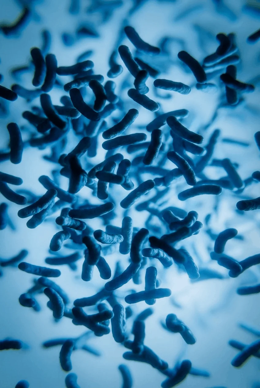 Legionellen im Trinkwasser hochkant